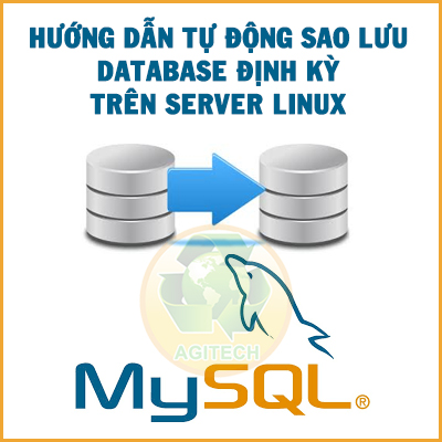 huong tu dong sao luu database